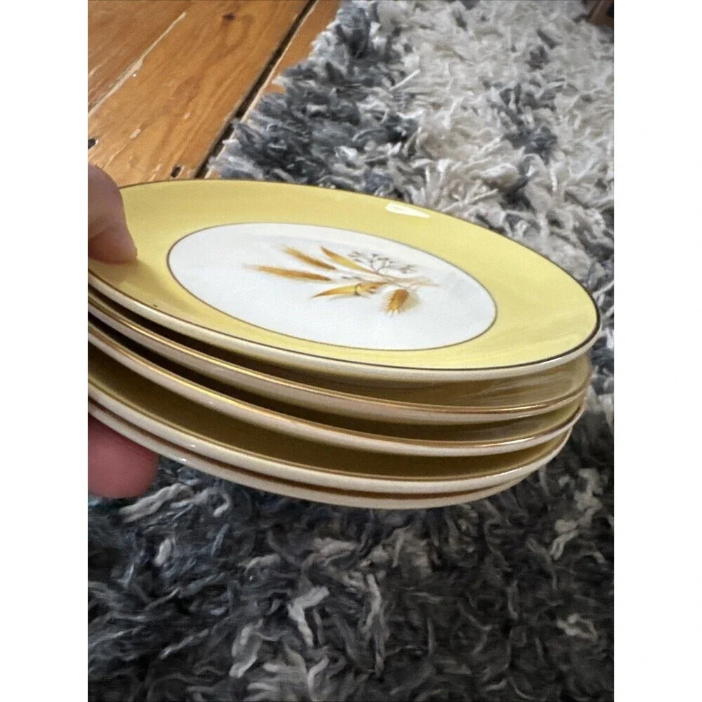20 Piece Century Service Corp Autumn Gold Dinner Plate Plates and Bowls